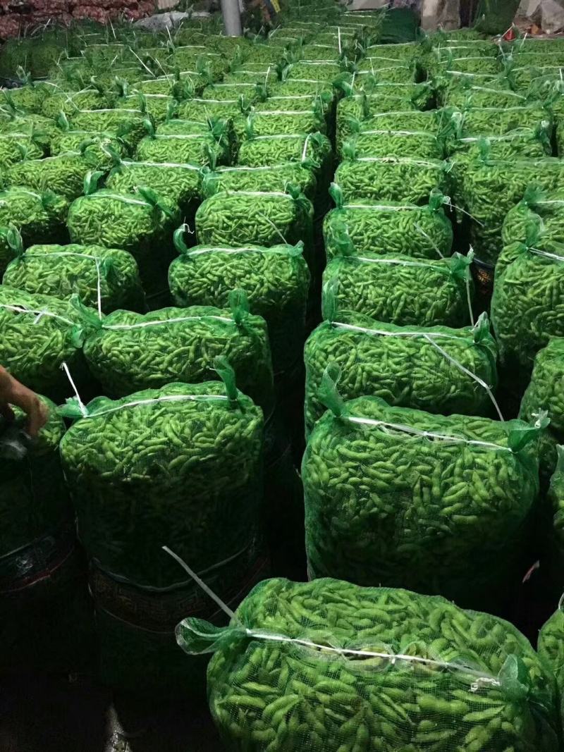 邳州市翠绿宝毛豆