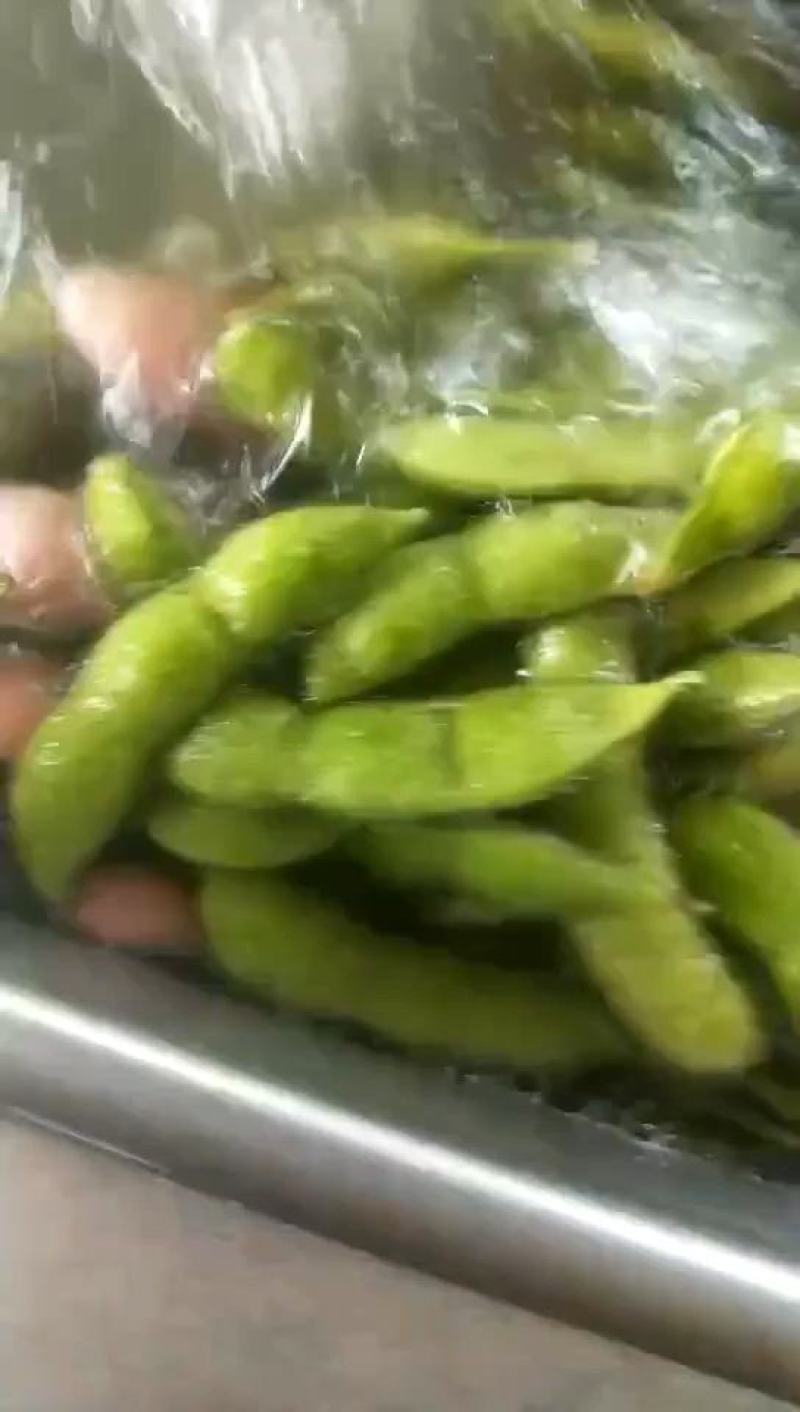 邳州市翠绿宝毛豆