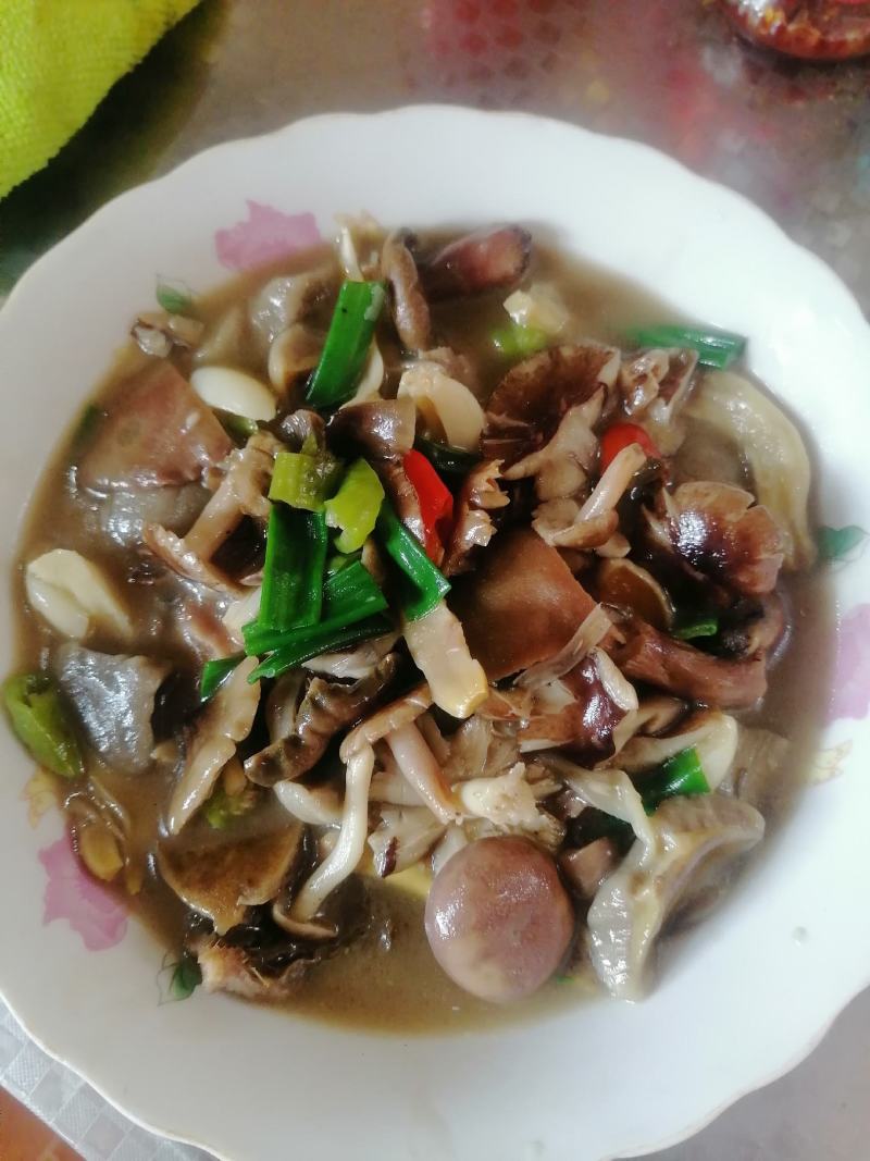 云南野生菌