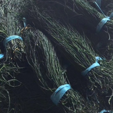 产地直踩烘干豆角大量批发