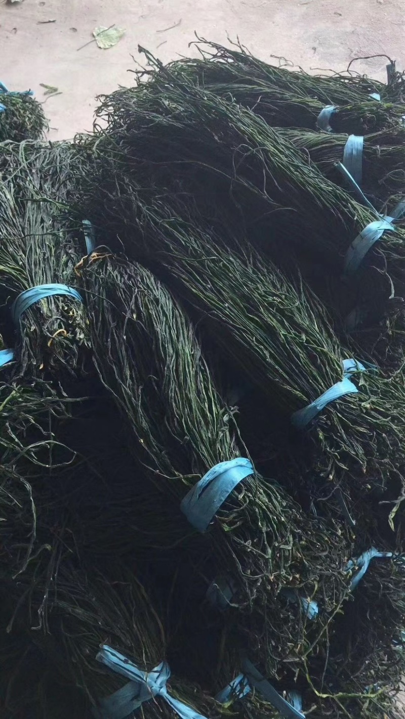 产地直踩烘干豆角大量批发