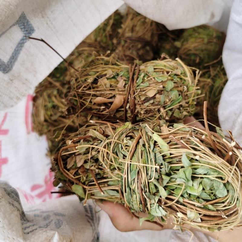 鸡骨草新货批发有叶无叶煲汤广西鸡骨草藤