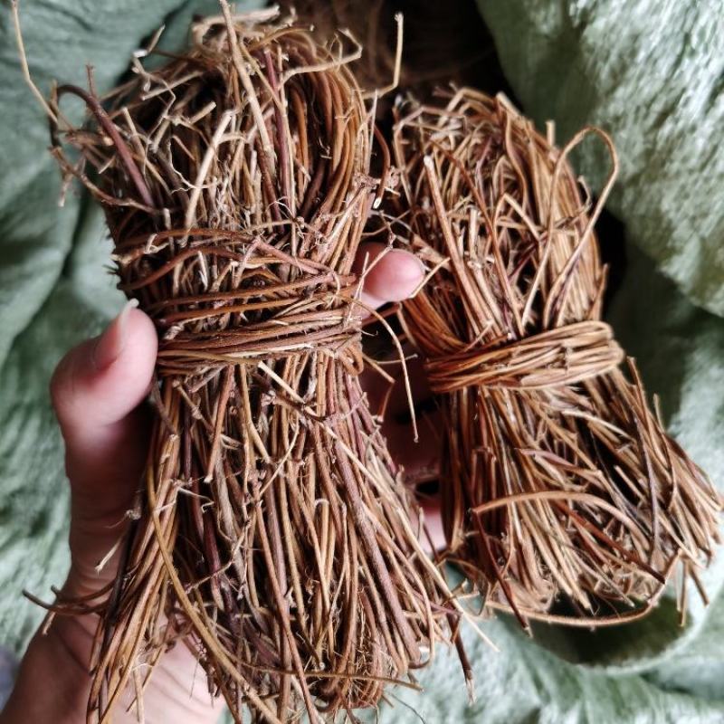 鸡骨草新货批发有叶无叶煲汤广西鸡骨草藤
