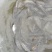 白鲢鱼苗扁鱼专业过滤水。鱼塘必须品种