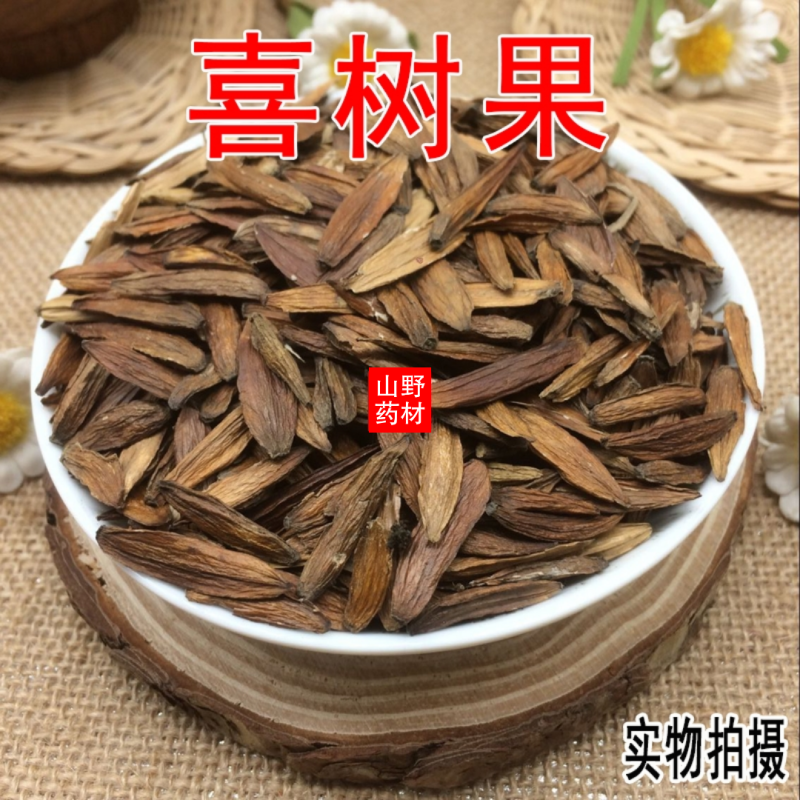 云南中药材喜树果500g包邮