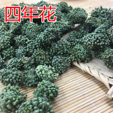 云南三七花中药材好货四年花高销量当天发货牛商干货