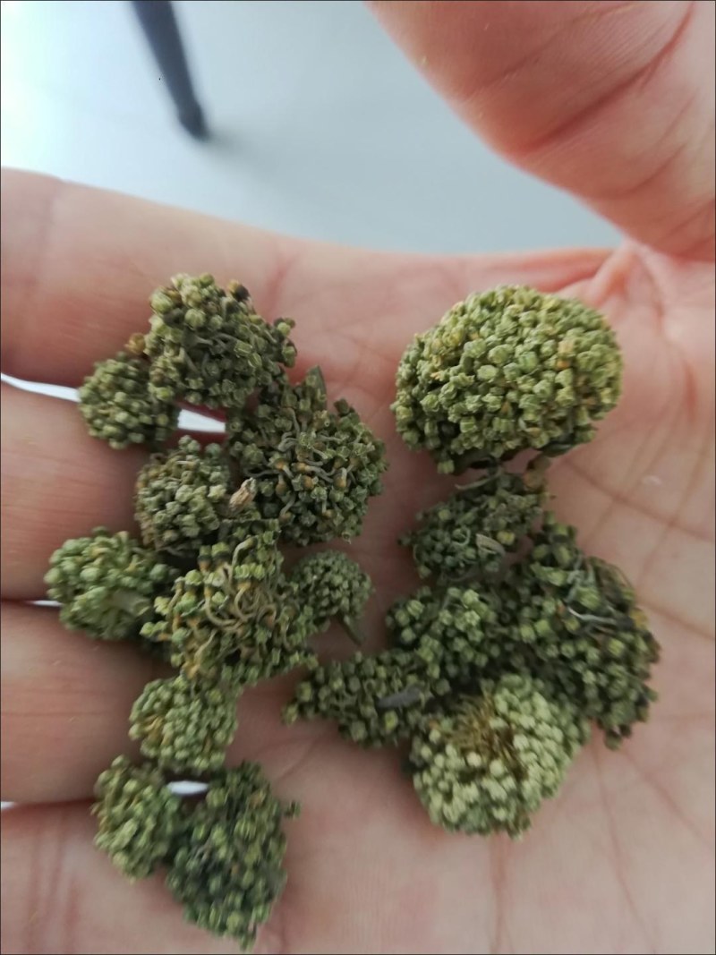 云南三七花中药材好货四年花高销量当天发货牛商干货