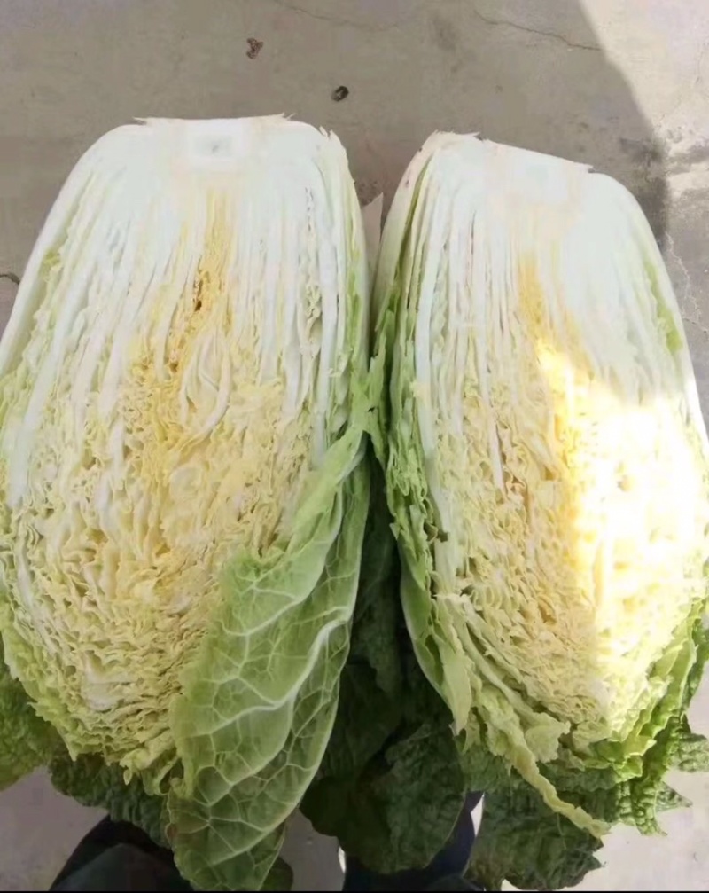 蔬菜