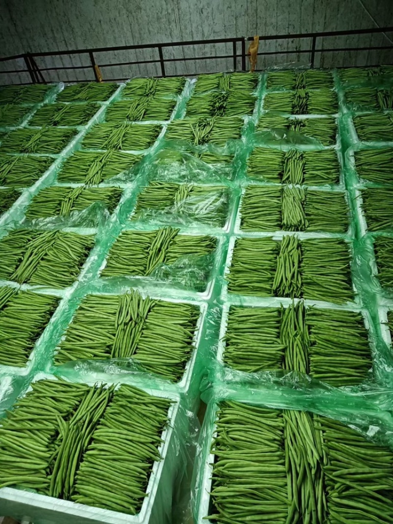 蔬菜