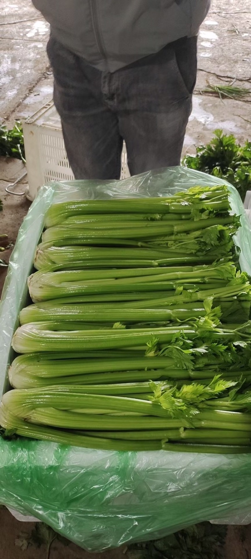 蔬菜