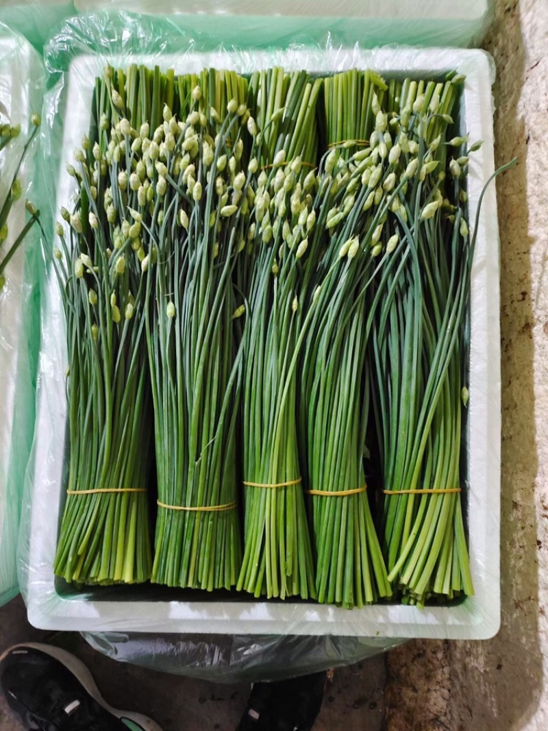 蔬菜