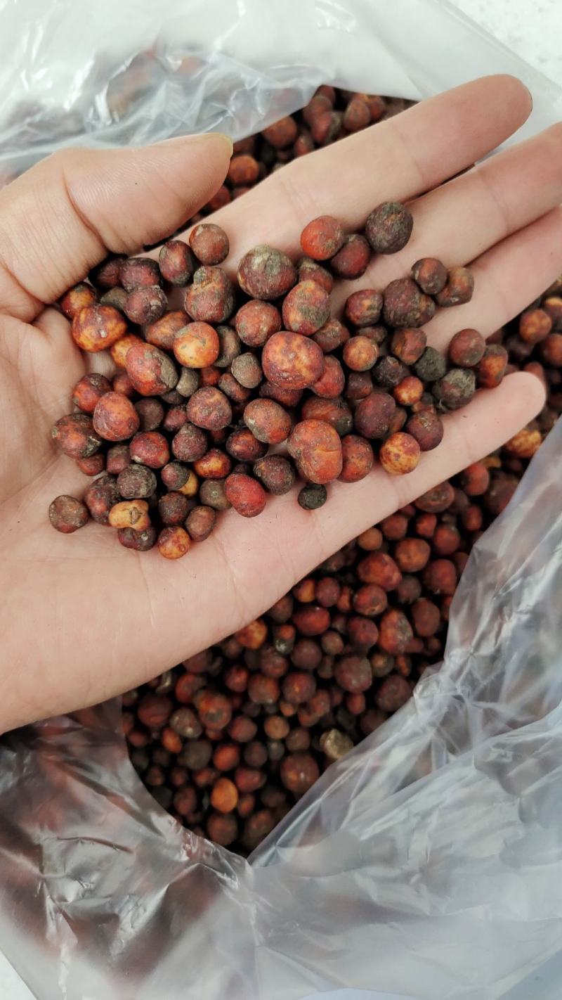地下明珠，颗粒大杂质干净质量保证量大从优