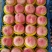 大景红，大久保，绿化久大量供应