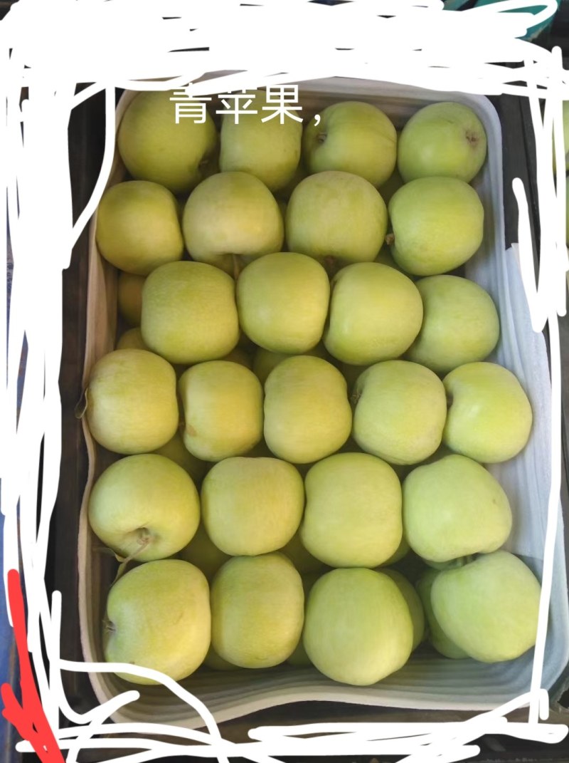 苹果，河北深州腾木一苹果，有机苹果，嘎啦苹果，