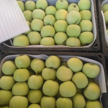 苹果，河北深州腾木一苹果，有机苹果，嘎啦苹果，