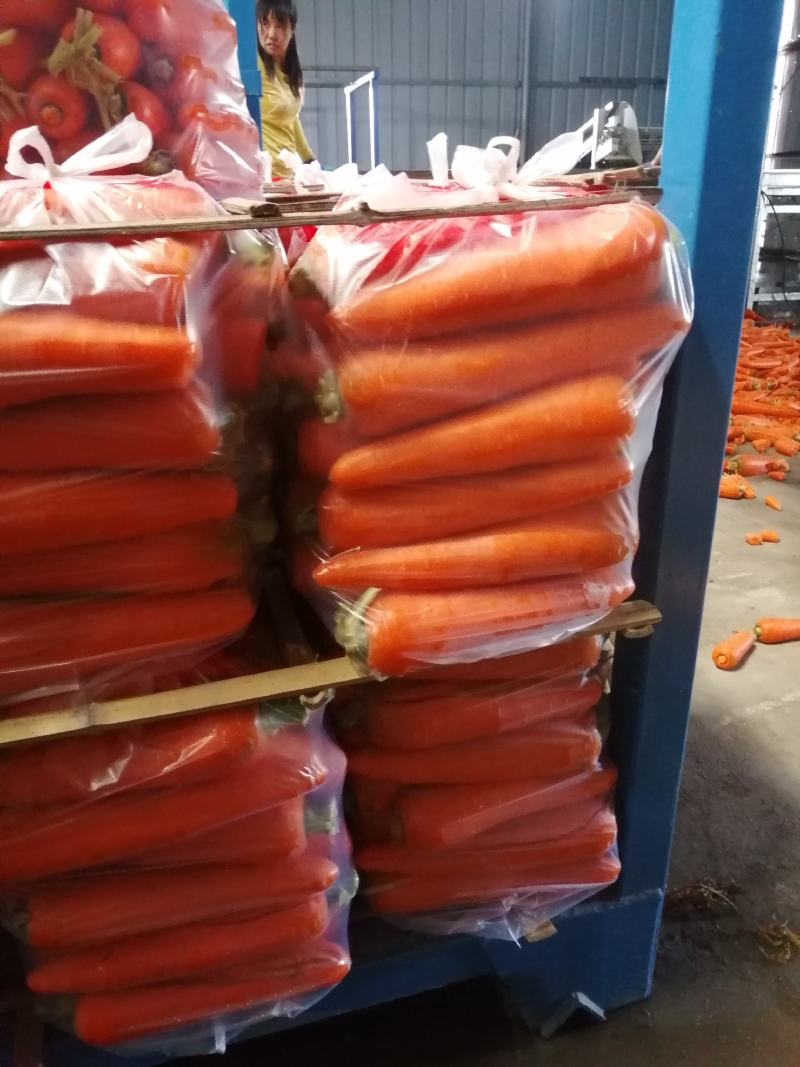 内蒙胡萝卜！水洗精品！规格齐全！全国发货