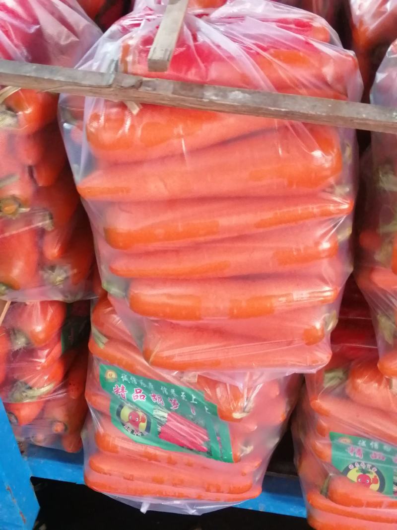 内蒙胡萝卜！水洗精品！规格齐全！全国发货