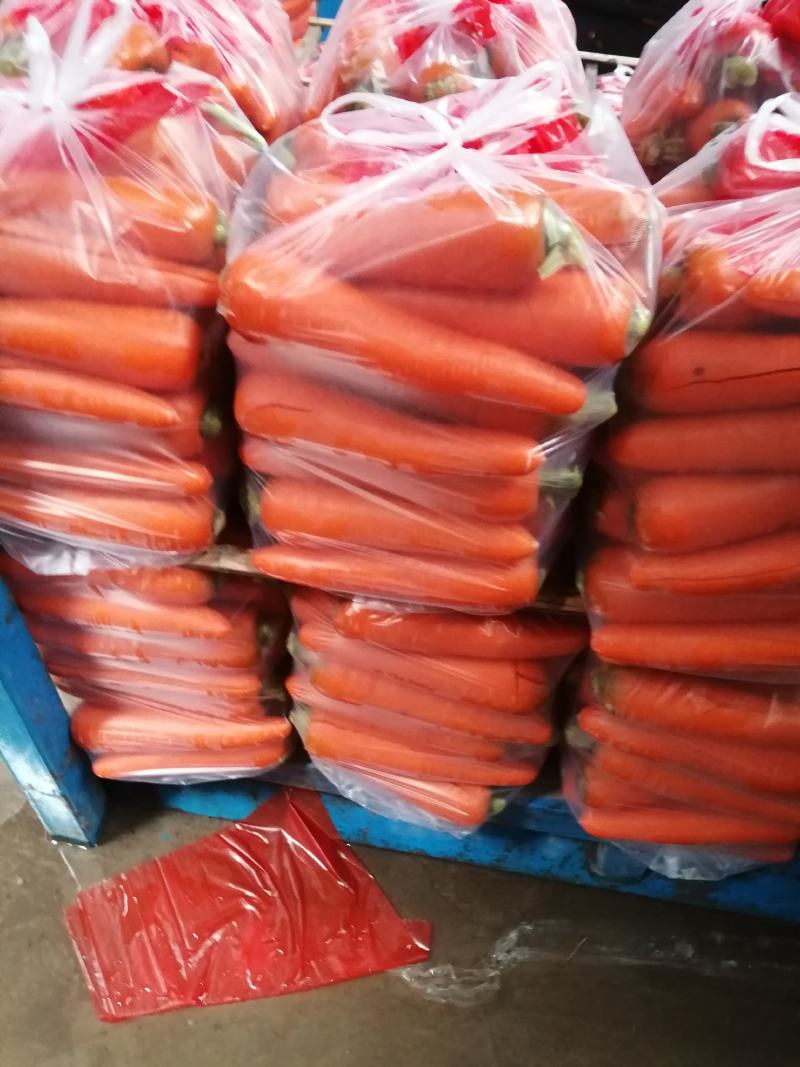 内蒙胡萝卜！水洗精品！规格齐全！全国发货