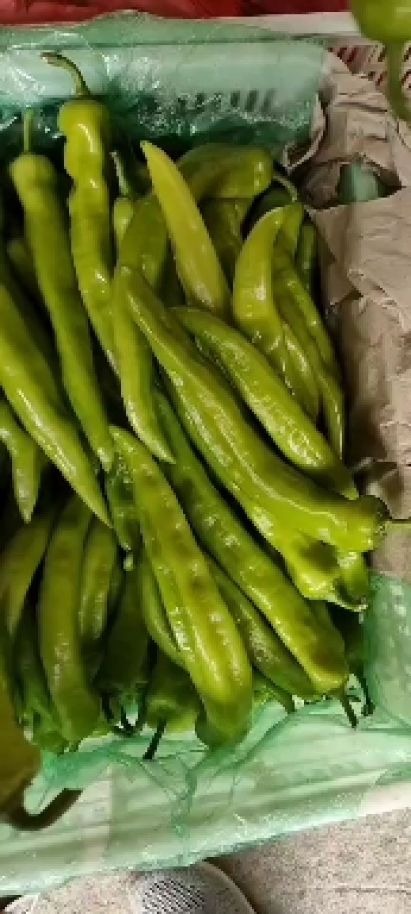 山西黄皮尖椒，产地货源，基地直供大量供货中