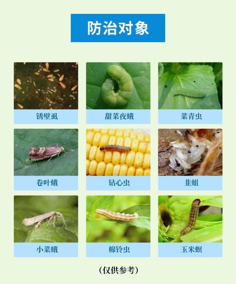 5%虱螨脲柑橘锈壁虱红蜘蛛甜菜夜蛾小菜蛾悬浮剂农药杀虫剂