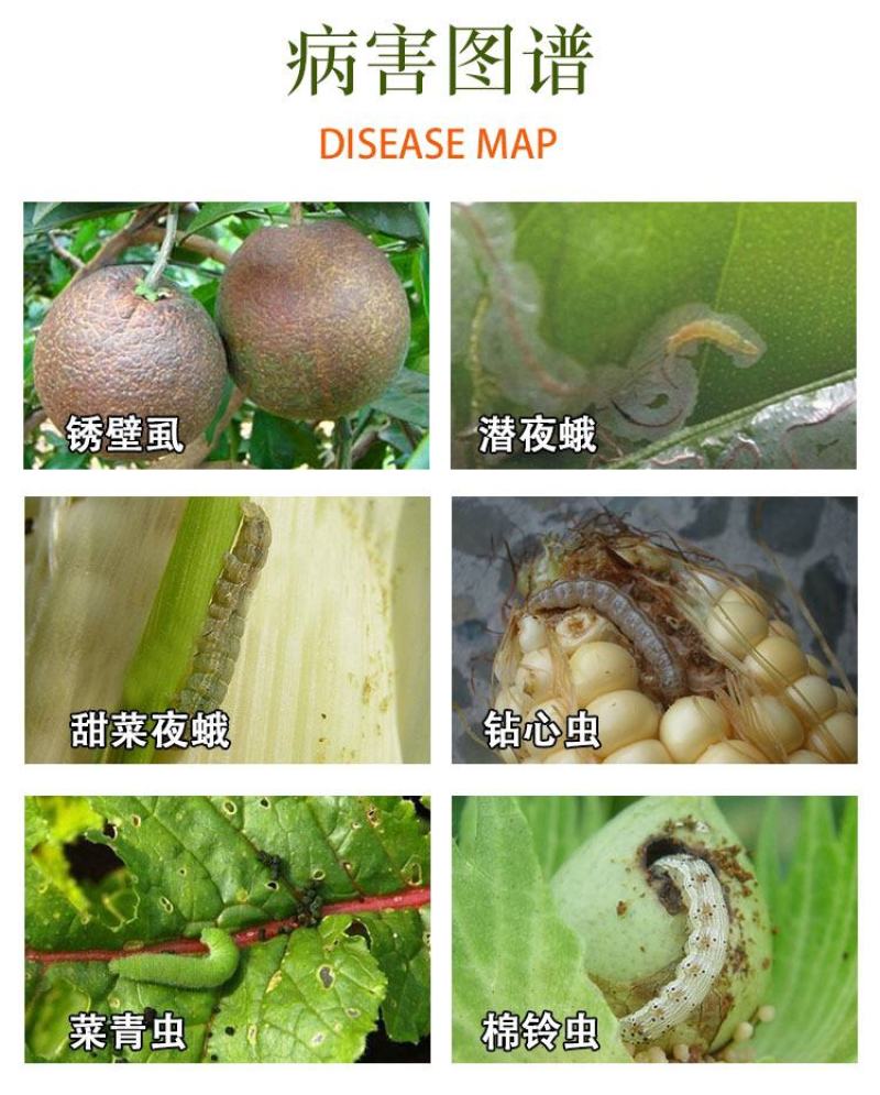 5%虱螨脲柑橘锈壁虱红蜘蛛甜菜夜蛾小菜蛾悬浮剂农药杀虫剂