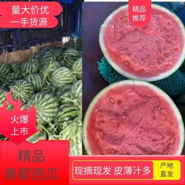 【西瓜】精品8424西瓜皮薄多汁现摘现发欢迎采购
