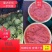 【西瓜】精品美都西瓜大量上市产地直供现摘现发皮薄多汁