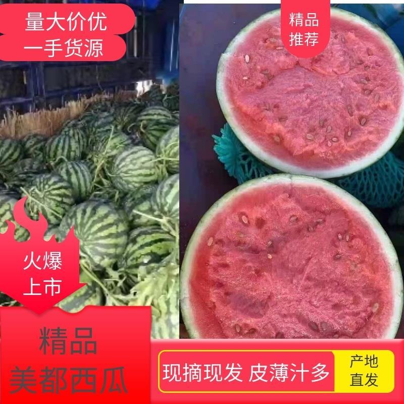 [美都西瓜批发]安徽蚌埠怀远县西瓜 0.60元/斤【西瓜】精品美 _ 一亩田