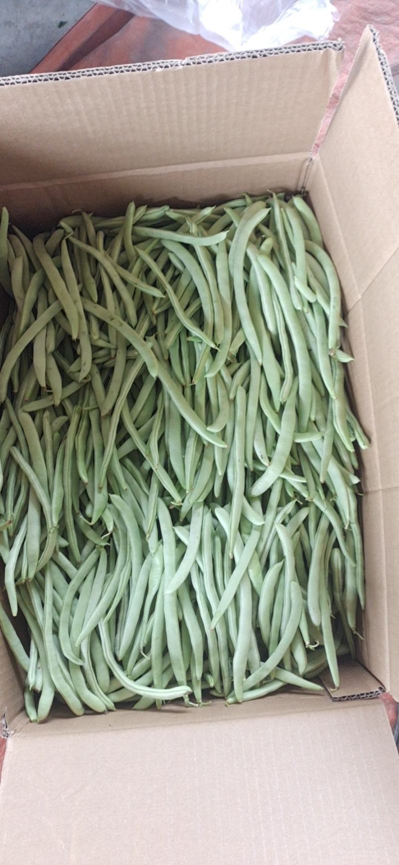 磐安高山各种蔬菜大量上市中，价格美丽，