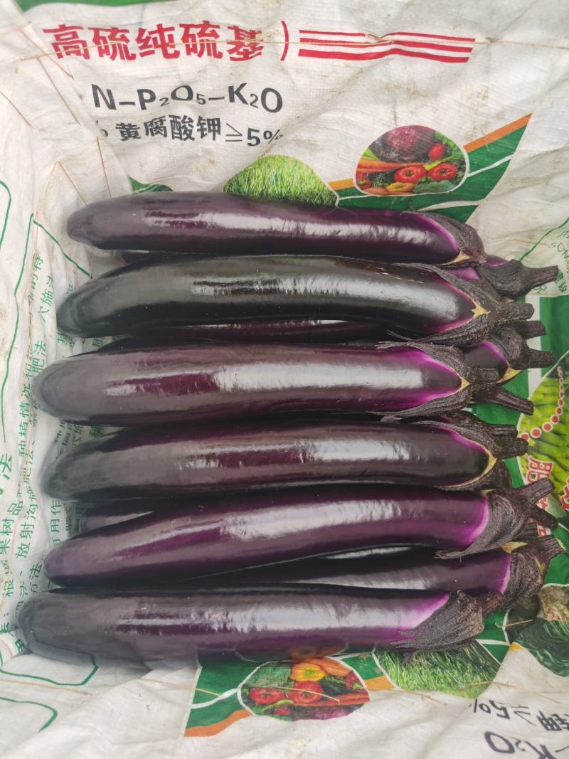 贵州中茄一手货源产地直供黔货外发工厂