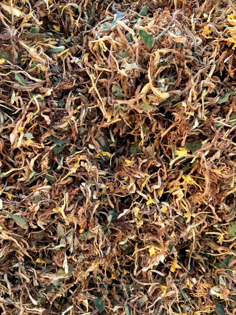陕西产，道地药材，金银花