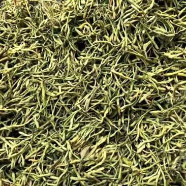 陕西产，道地药材，金银花