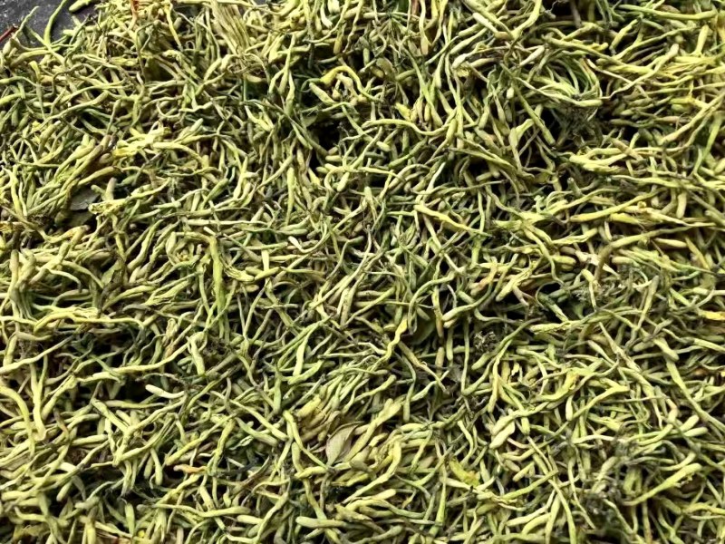 陕西产，道地药材，金银花