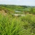 3000亩湖南农村集体土地，山地，出租流转