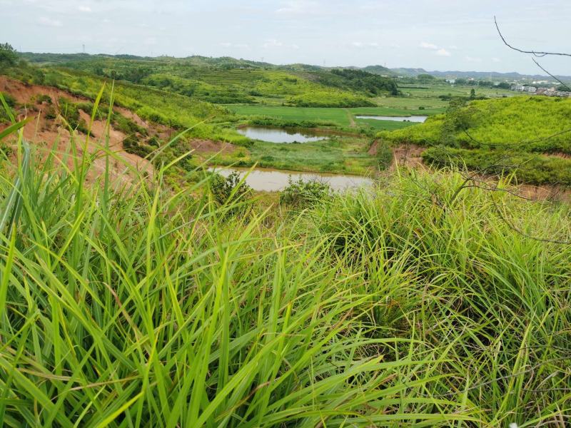 3000亩湖南农村集体土地，山地，出租流转