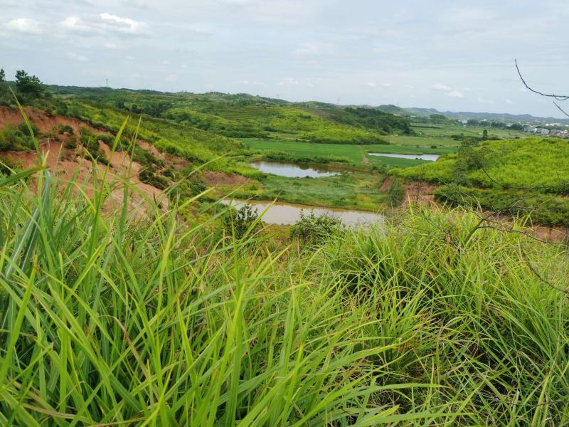 3000亩湖南农村集体土地，山地，出租流转