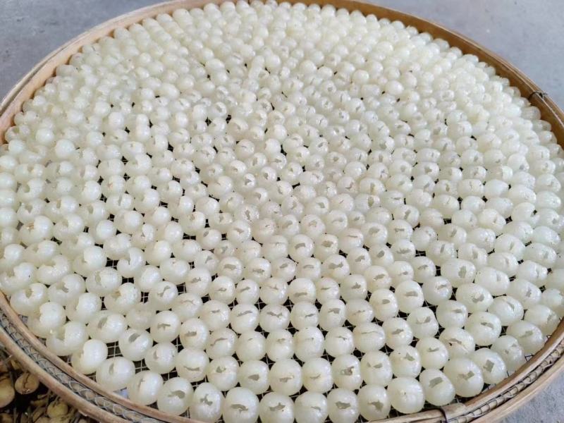 桂圆