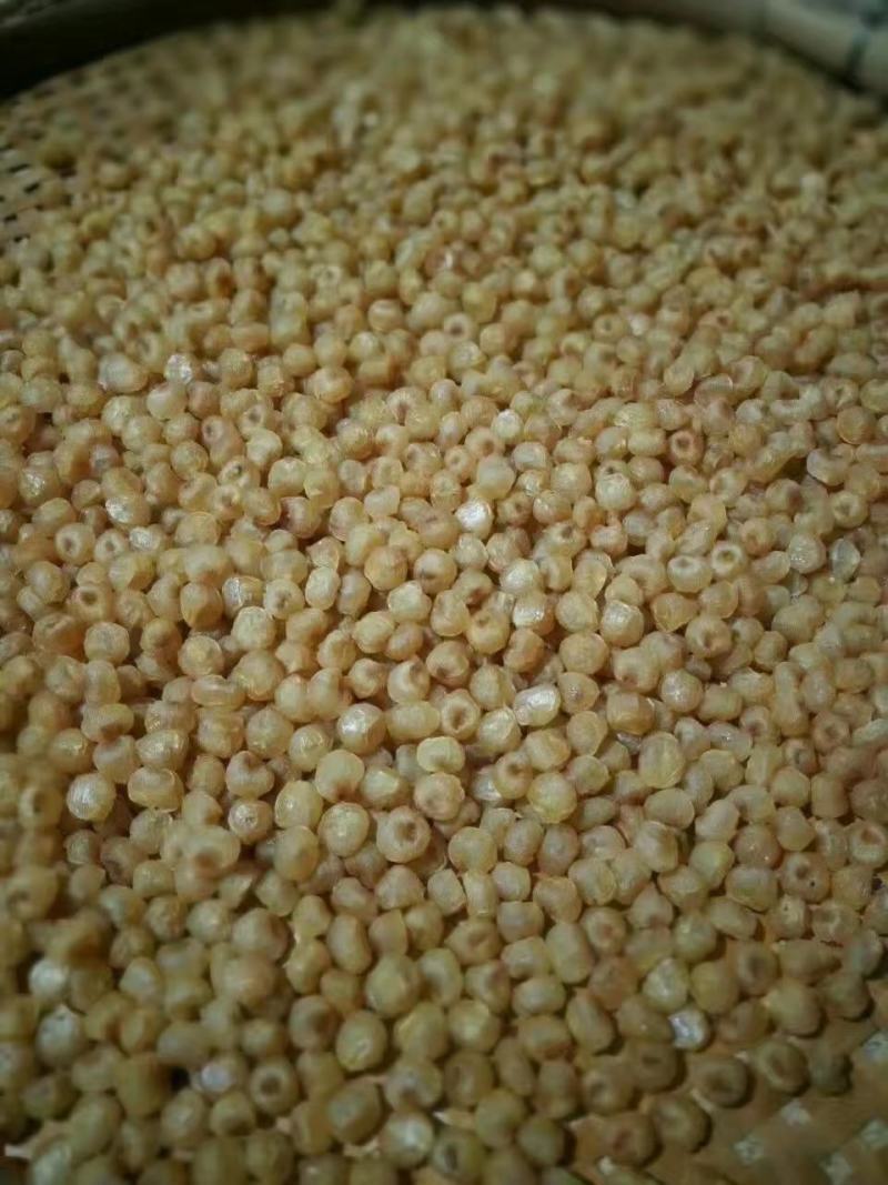 桂圆