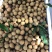 现摘新鲜龙眼广东茂名特产龙眼产