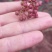 凉山花椒，干椒，鲜花椒，