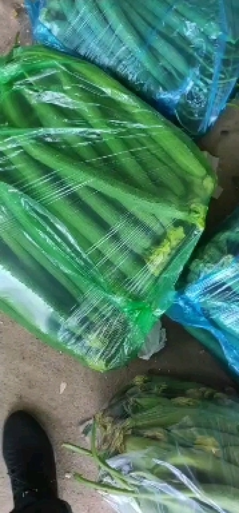 精品丝瓜