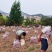 福建漳州漳浦蜜薯（婴歌红）（莺歌红薯）上市了