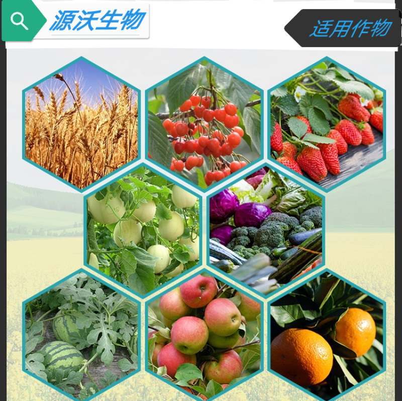 黄腐酸钾鱼蛋白改良土壤保水保肥促根壮苗增产增收