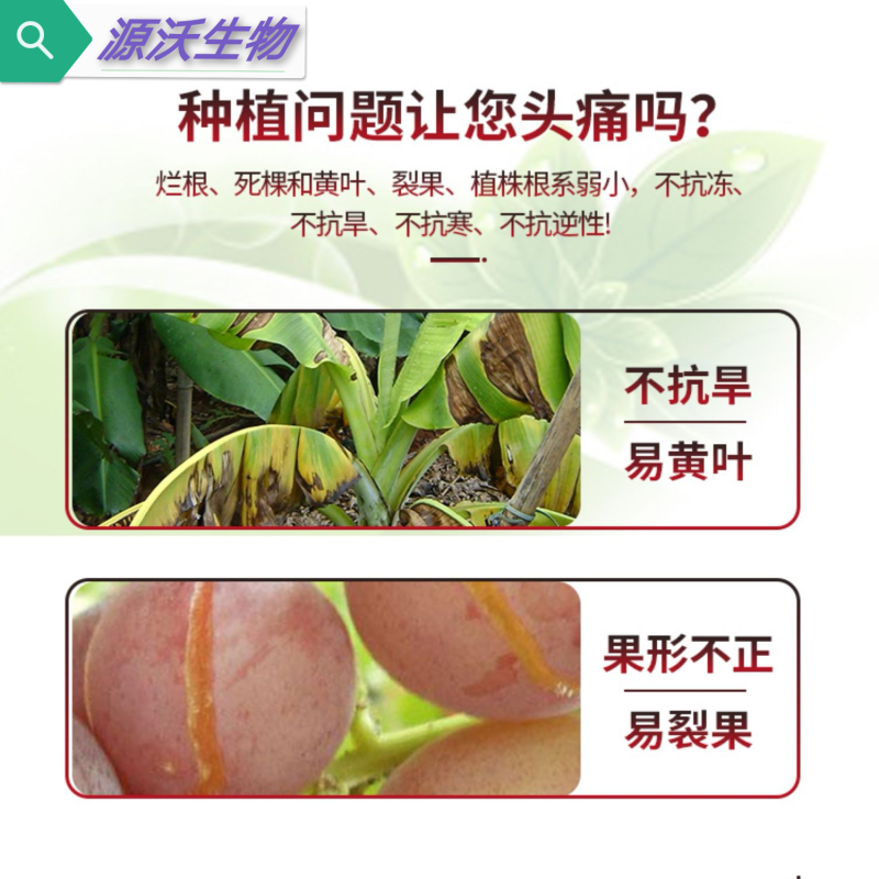 黄腐酸钾鱼蛋白改良土壤保水保肥促根壮苗增产增收