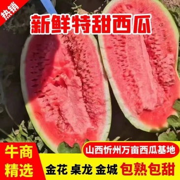 西瓜山西、金花、金城、西农八号等等、