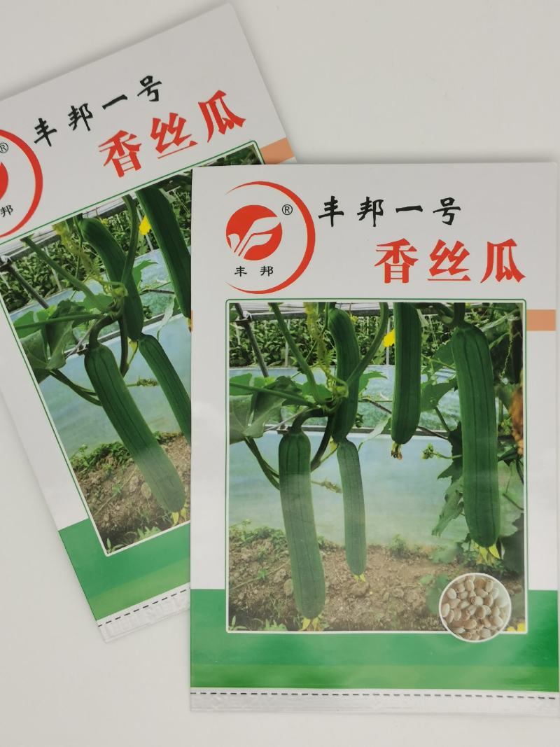丰邦一号短油皮丝瓜种子25厘米油丝瓜种白籽原装发货