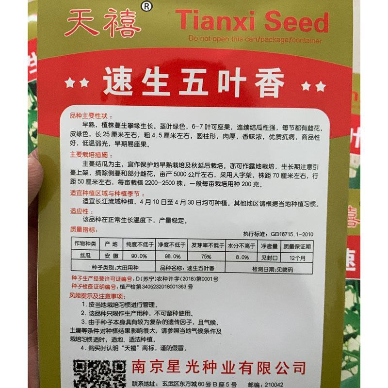 丰邦一号短油皮丝瓜种子25厘米油丝瓜种白籽原装发货