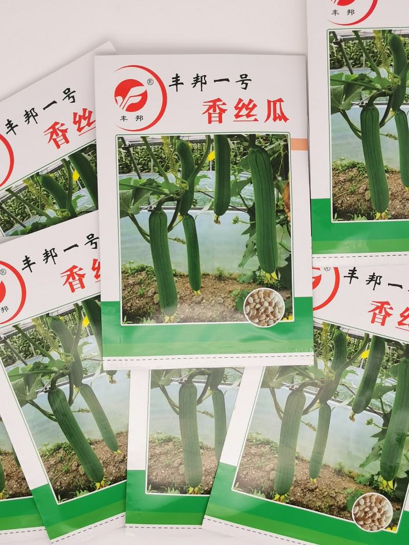 丰邦一号短油皮丝瓜种子25厘米油丝瓜种白籽原装发货