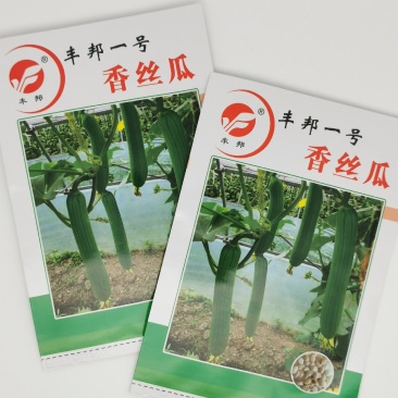 丰邦一号短油皮丝瓜种子25厘米油丝瓜种白籽原装发货