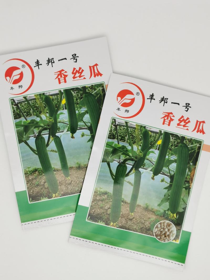 丰邦一号短油皮丝瓜种子25厘米油丝瓜种白籽原装发货